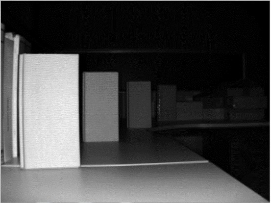 IR image