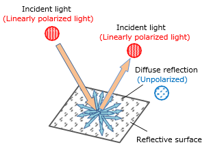 Polarization states of specular reflection light and diffuse reflection light